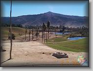 Wild Animal Park * (23 Slides)